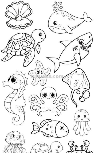 119个海洋动物简笔画线稿图，你捡到宝贝了 - 图画吧TUHUABA