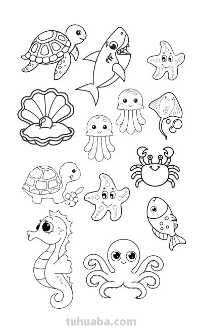 119个海洋动物简笔画线稿图，你捡到宝贝了 - 图画吧TUHUABA