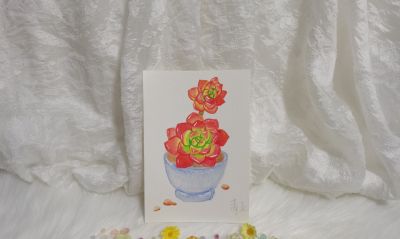 21 水彩蒂亚（果花甘08） - 今日头条