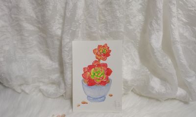 21 水彩蒂亚（果花甘08） - 图画吧TUHUABA