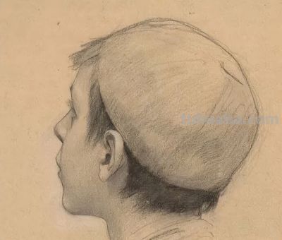 克里姆特素描到底有多牛，快来看看吧 - 图画吧TUHUABA