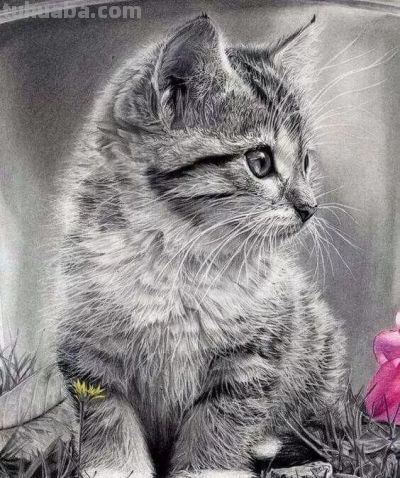让你震撼的素描，狮子、老虎、小猫！ - 图画吧TUHUABA