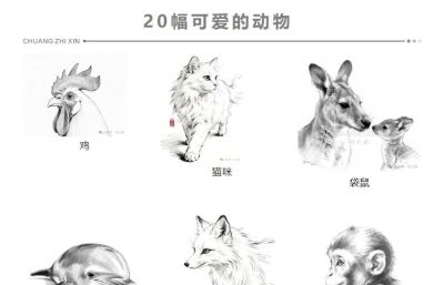 素描集丨瑞兽萌宠 生灵共生 - 图画吧TUHUABA