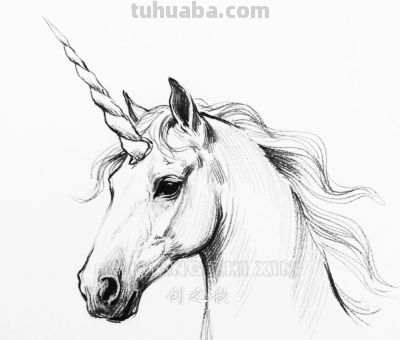 素描集丨瑞兽萌宠 生灵共生 - 图画吧TUHUABA
