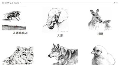素描集丨瑞兽萌宠 生灵共生 - 图画吧TUHUABA
