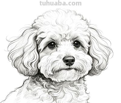 素描集丨瑞兽萌宠 生灵共生 - 图画吧TUHUABA