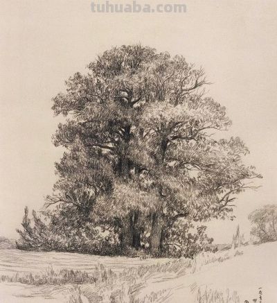 吴冠中速写赏析，每一幅都是艺术品 - 图画吧TUHUABA