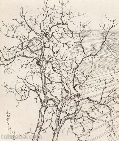 吴冠中速写赏析，每一幅都是艺术品 - 图画吧TUHUABA