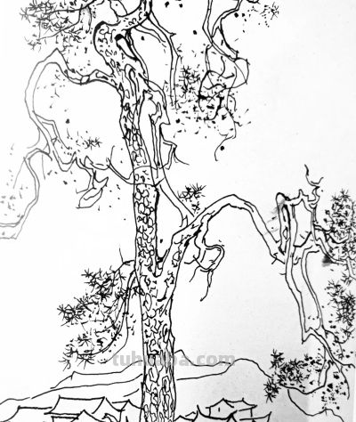 吴冠中速写赏析，每一幅都是艺术品 - 图画吧TUHUABA