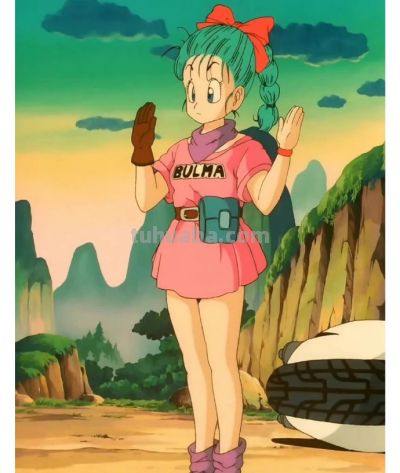 日漫中最具魅力女性角色,布尔玛仅排第九,御姐果然更容易上榜 - 今日头条 日漫中最具魅力女性角色,布尔玛仅排第九,御姐果然更容易上榜 - 图画吧TUHUABA