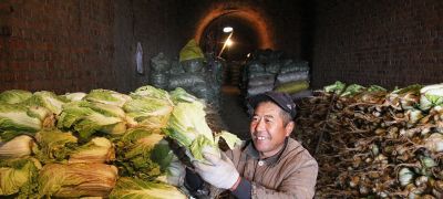 为什么就中国有大量蔬菜吃，而其他国家蔬菜吃的较少？ - 今日头条