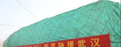为什么就中国有大量蔬菜吃,而其他国家蔬菜吃的较少? - 今日头条 为什么就中国有大量蔬菜吃,而其他国家蔬菜吃的较少? - 图画吧TUHUABA
