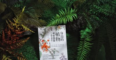 一本纯手绘的植物图鉴！ - 图画吧TUHUABA