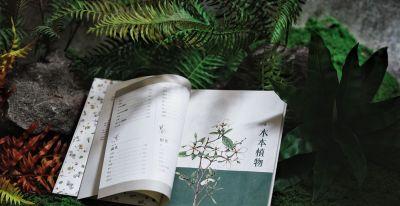 一本纯手绘的植物图鉴！ - 图画吧TUHUABA