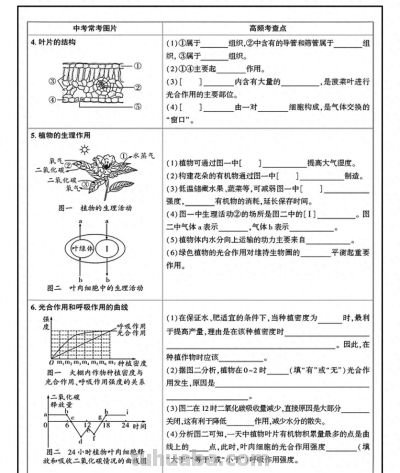 2026年生物会考主题知识点思维导图 - 今日头条 2026年生物会考主题知识点思维导图 - 图画吧TUHUABA