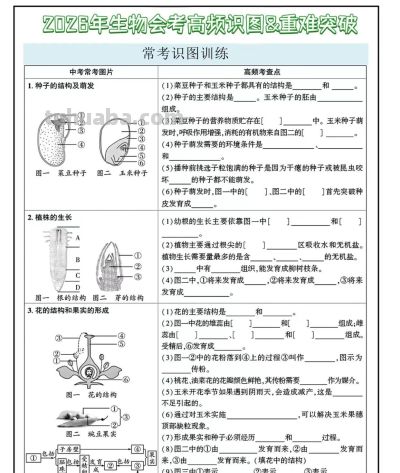 2026年生物会考主题知识点思维导图 - 今日头条 2026年生物会考主题知识点思维导图 - 图画吧TUHUABA