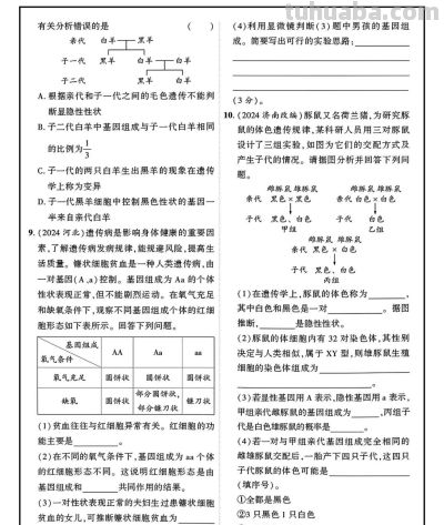2026年生物会考主题知识点思维导图 - 今日头条 2026年生物会考主题知识点思维导图 - 图画吧TUHUABA