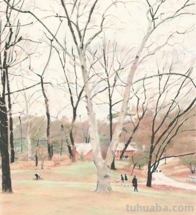 李久泰插画:柔和轻盈的现代风格彩铅画 - 今日头条 李久泰插画:柔和轻盈的现代风格彩铅画 - 图画吧TUHUABA