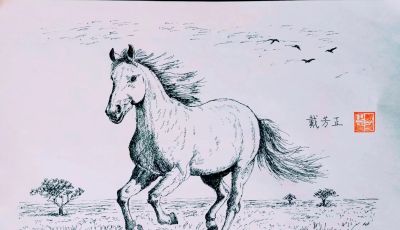 幸福原创画吧2026年第八期画友作品分享 - 今日头条 幸福原创画吧2026年第八期画友作品分享 - 图画吧TUHUABA