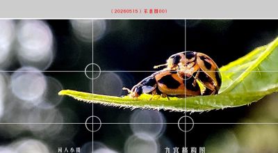 手机摄影技巧(91)手机摄影新人快速学习构图,从基础构图开始 - 今日头条 手机摄影技巧(91)手机摄影新人快速学习构图,从基础构图开始 - 图画吧TUHUABA
