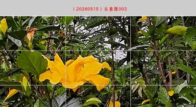 手机摄影技巧(91)手机摄影新人快速学习构图,从基础构图开始 - 今日头条 手机摄影技巧(91)手机摄影新人快速学习构图,从基础构图开始 - 图画吧TUHUABA