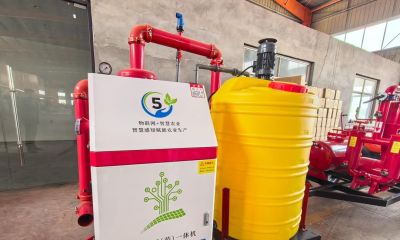 有哪些好的家庭种植技巧 - 图画吧TUHUABA