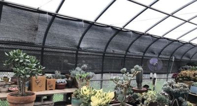 多肉总烂根?这4个救命技巧让你从“植物杀手”逆袭成养花达人 - 今日头条 多肉总烂根?这4个救命技巧让你从“植物杀手”逆袭成养花达人 - 图画吧TUHUABA