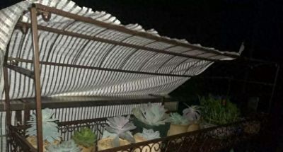 多肉总烂根？这4个救命技巧让你从“植物杀手”逆袭成养花达人 - 今日头条