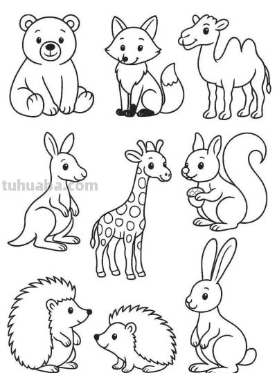 78个小动物简笔画资料图，临摹学画 - 图画吧TUHUABA