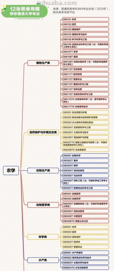 志愿填报必看！12张思维导图带你理清大学专业 - 图画吧TUHUABA
