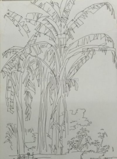张义春 ‖自然风景速写作品欣赏 - 图画吧TUHUABA