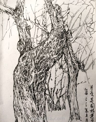 郑仁安 ||《公交车上》和《伊通河畔》速写作品欣赏 - 图画吧TUHUABA