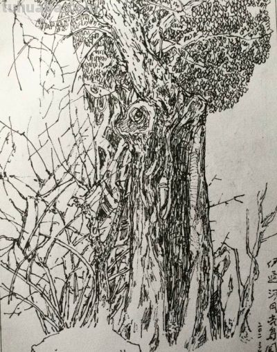 郑仁安 ||《公交车上》和《伊通河畔》速写作品欣赏 - 图画吧TUHUABA
