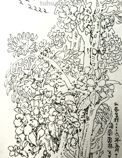 郑仁安 ||《公交车上》和《伊通河畔》速写作品欣赏 - 图画吧TUHUABA