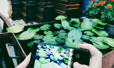 为什么别人手机拍照高级?原来用的是这些进阶技巧 - 今日头条 为什么别人手机拍照高级?原来用的是这些进阶技巧 - 图画吧TUHUABA