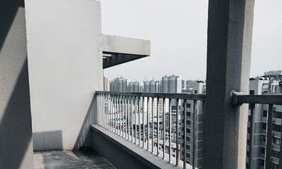房间里那盆快死的绿萝 - 今日头条
