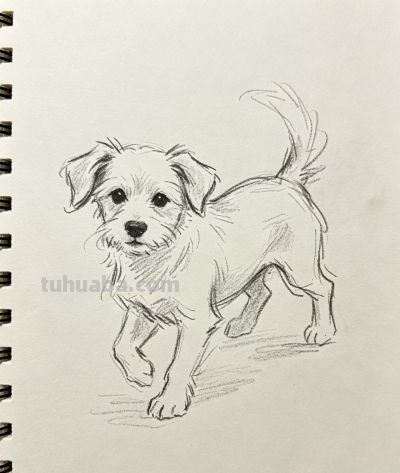 软萌小狗 用铅笔定格它的温柔瞬间丨Jasper速写风狗狗插画分享 - 今日头条 软萌小狗 用铅笔定格它的温柔瞬间丨Jasper速写风狗狗插画分享 - 图画吧TUHUABA
