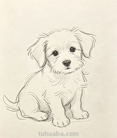 软萌小狗 用铅笔定格它的温柔瞬间丨Jasper速写风狗狗插画分享 - 今日头条 软萌小狗 用铅笔定格它的温柔瞬间丨Jasper速写风狗狗插画分享 - 图画吧TUHUABA