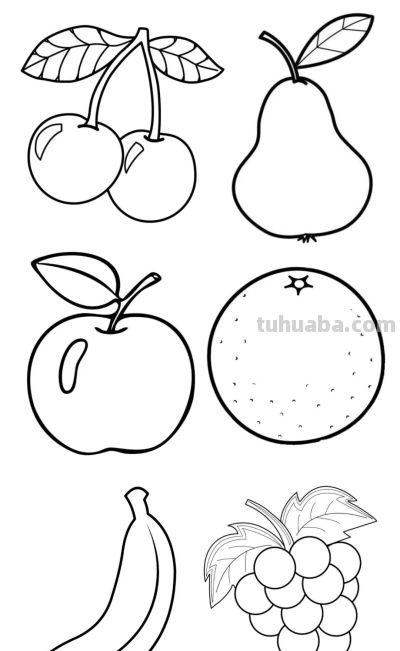 113个水果的简笔画资料图，收藏备用 - 图画吧TUHUABA