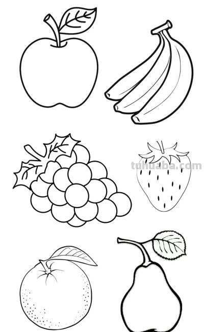 113个水果的简笔画资料图，收藏备用 - 图画吧TUHUABA