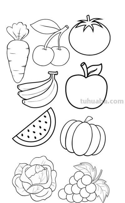 113个水果的简笔画资料图，收藏备用 - 图画吧TUHUABA