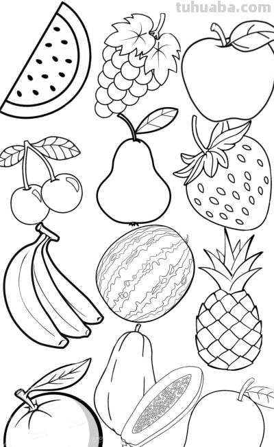 113个水果的简笔画资料图，收藏备用 - 图画吧TUHUABA