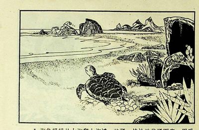 小海龟游大海-湖南美术出版社1981 王琼 胡抗 绘 - 图画吧TUHUABA