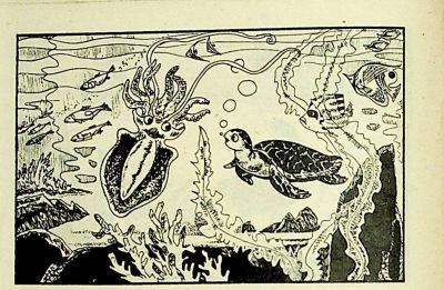 小海龟游大海-湖南美术出版社1981 王琼 胡抗 绘 - 图画吧TUHUABA
