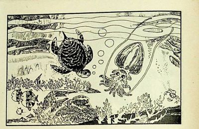 小海龟游大海-湖南美术出版社1981 王琼 胡抗 绘 - 图画吧TUHUABA