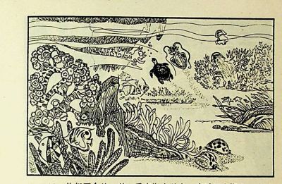 小海龟游大海-湖南美术出版社1981 王琼 胡抗 绘 - 图画吧TUHUABA