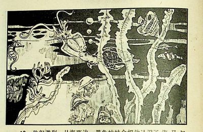 小海龟游大海-湖南美术出版社1981 王琼 胡抗 绘 - 图画吧TUHUABA