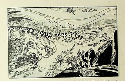 小海龟游大海-湖南美术出版社1981 王琼 胡抗 绘 - 图画吧TUHUABA