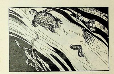 小海龟游大海-湖南美术出版社1981 王琼 胡抗 绘 - 图画吧TUHUABA