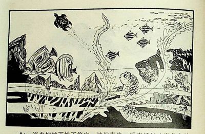 小海龟游大海-湖南美术出版社1981 王琼 胡抗 绘 - 图画吧TUHUABA